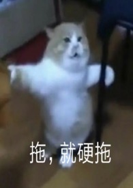 魅魔 文